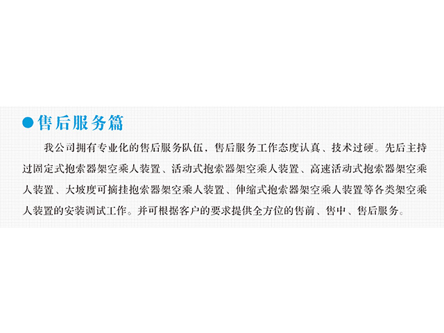 必发变频器,必发轮衬,必发驱动轮构件,湖南必发有限公司