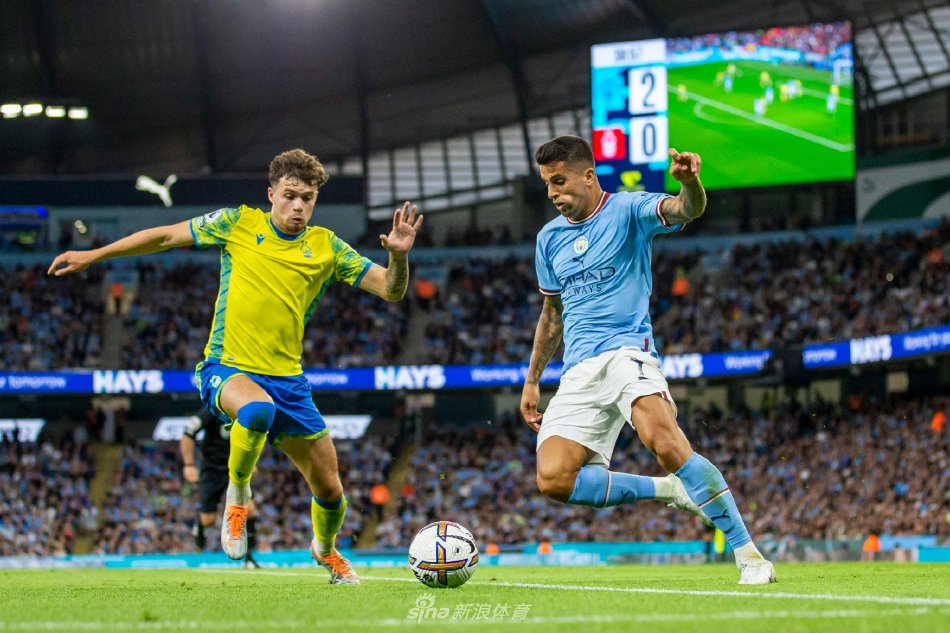 触碰都会对 触碰都会对